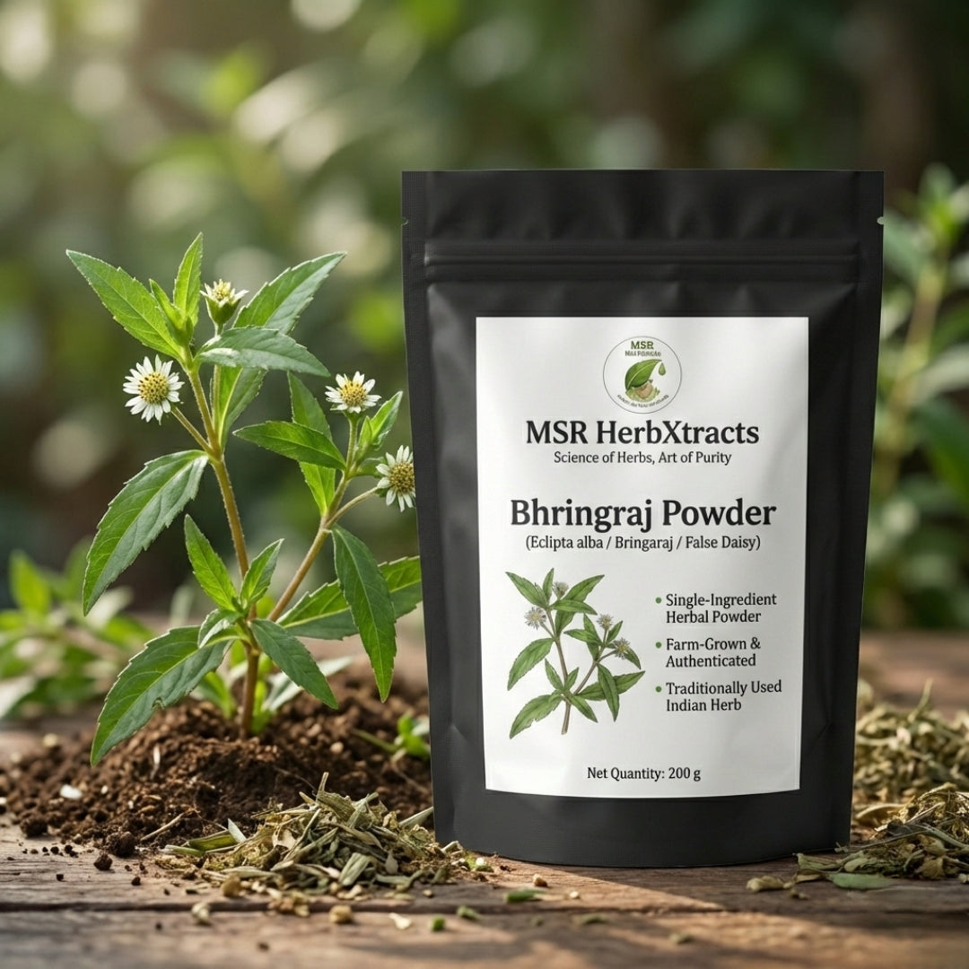 Bhringaraj Powder (Eclipta alba) ā Single Ingredient Herbal Powder