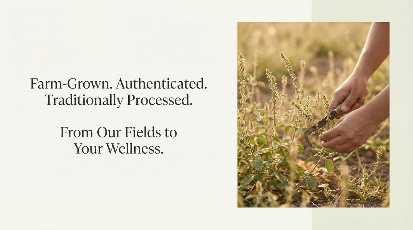 Achyranthes aspera Powder (Apamarga/Ulbijjara) – Single Ingredient Herbal Powder, Farm-Grown & Authenticated, 100 g