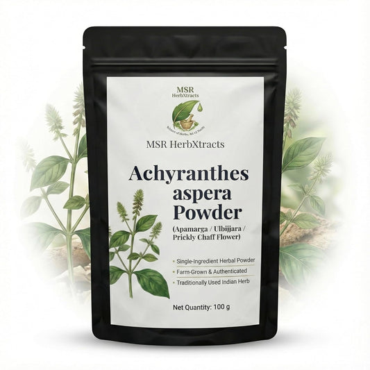 Achyranthes aspera Powder (Apamarga/Ulbijjara) – Single Ingredient Herbal Powder, Farm-Grown & Authenticated, 100 g